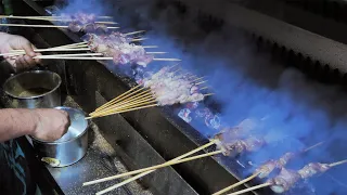 Xinjiang Lamb Skewers ｜ China Street Food