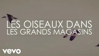 Aldebert - Les oiseaux dans les grands magasins [Video Lyrics]