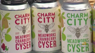 Coffee With: Charm City Meadworks