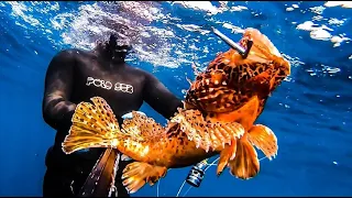 Spearfishing winter 2020