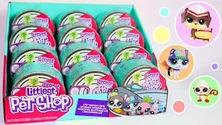 Opening A Full Case Of New LPS! || Littlest Pet Shop Blind Boxes