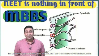 NEET Is Nothing In Front Of MBBS | NEET Is Just First Step | Dr. Geetendra sir.