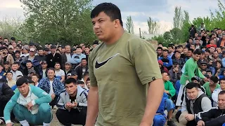 Qashqadaryoda katta kurash tavoqlar boshlandi