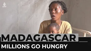 Madagascar famine: Millions go hungry as drought causes failed harvests