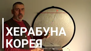 Херабуна Корея