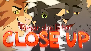 Close Up | ThunderClan Edition | Meme