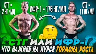 СТГ или ИФР - что важнее на курсе гормона роста