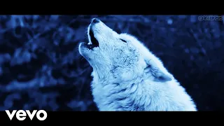 Eiffel 65 - Blue (Scott Rill Remix) | Drifting Music Video