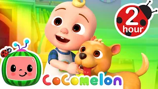 Doggy This Way! | 2 HOUR CoComelon Animal Time | Animal Nursery Rhymes