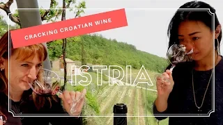 Cracking Croatian Wine in Istria (Part 2/4) ft Malvazija Istarska