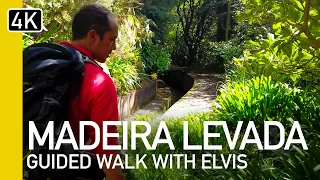 4K Madeira, Guide to Levada's with Elvis | Encumeada Levada