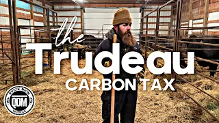 Thoughts From the Calving Barn:  The Trudeau Carbon Tax