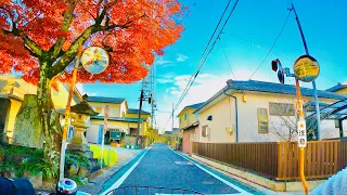 【4K】Japan Cycling Tour - Beautiful Sunset / Bike Ride Through Japanese Neighborhood (Nagoya)