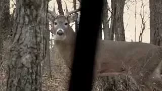 Raised Hunting - Respect the Wildlife - Outdoor Channel