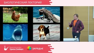 Максим Казарновский – Программирование на ДНК