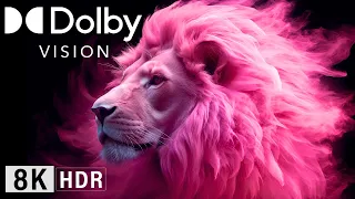 Super SLOW MOTION, 8K ULTRA HD (1000FPS), Dolby Vision HDR!