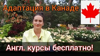 Адаптация в Канаде без английского. CUAET. Бесплатные курсы английского. Адаптация детей в Канаде.