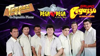 Cumbias Inmortales Mix - El Pega Pega, Grupo Toppaz, Pegasso