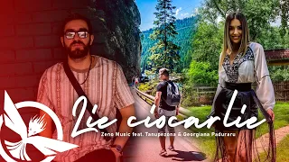 Zeno Music feat. @TanuMusicProduction & Georgiana Paduraru - Lie Ciocarlie 🌿 Video Casuta din Padure