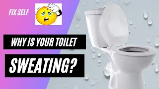 Toilet tank sweating or moisture or condensation ? 😓