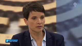 Petry gegen die AFD - Bricht die AFD in sich zusammen?