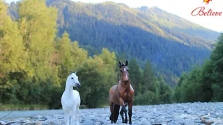 Breyer horse movie "Believe" | 5 part episode | Отрывок из 5 серии