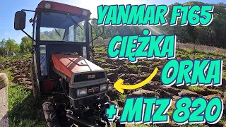 ✰ CIĘŻKA ORKA ✰ YANMAR F165 ✰ BELARUS 820 ✰ GLEBOGRYZARKA NR1600 ✰ NIE BYŁO LEKKO :) ✰