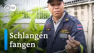 Vorsicht Gift! Schlangenfänger in Thailand | Reporter