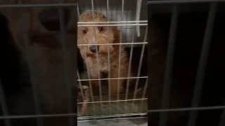 Let me out pls .. I will behave 😔