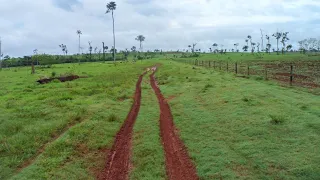 Fazenda a venda no Pará. 1922 Alqueires total. 500 Alqueires de capim. 50 divisões pastos.terra Roxa