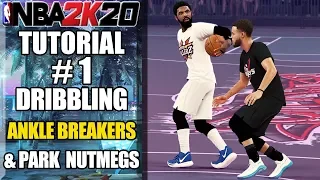 NBA 2K20 Ultimate Dribbling Tutorial - How To Do Ankle Breakers & Momentum Dribbles by ShakeDown2012