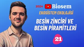 Besin Zinciri ve Besin Piramidi | 39 Günde TYT Biyoloji Kampı-21 |10. Sınıf Biyoloji Kampı-14 |2024