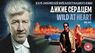 #КИНОЛИКБЕЗ  : Дикие сердцем