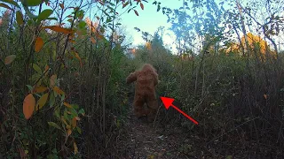 Ozarks Area BIGFOOT Caught On Video!!