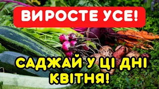 Запиши! ТОЧНІ ДАТИ ДЛЯ УКРАЇНИ за місячним посівним календарем!