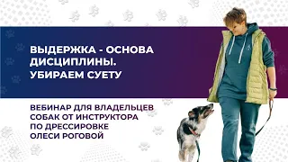 “ВЫДЕРЖКА - ОСНОВА ДИСЦИПЛИНЫ. Убираем суету”. Вебинар №2 из серии эфиров