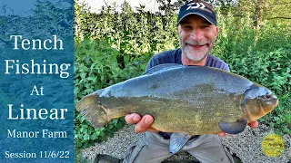 Tench Fishing At Linear Fisheries - Manor Farm - 11/6/22 (Video 324)