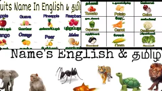 Vegetables & Fruits & Animals Name English and Tamil  | Faazil Class