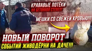 Новые события о КОНЦЛАГЕРЕ ДЛЯ СОБАК《》Нужна максимальная огласка‼️‼️‼️