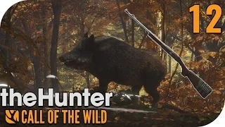 THE HUNTER: CALL OF THE WILD #12 - RANGEMASTER .338 VS. GROßWILD! 🐗 || PantoffelPlays