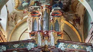 1728 Martin Zorkovský / Kögler Organ in Nitra, Slovakia | Demonstration of Stops