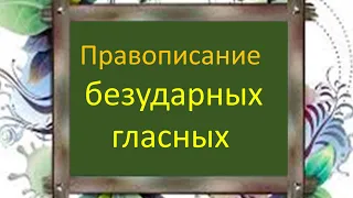 Русский язык. Правописание безударных гласных. Видеоурок