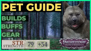 PATHFINDER: WOTR - Ultimate PET Guide: Builds, Buffs&Gear! Unfair viable