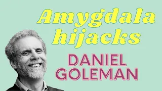 Daniel Goleman's explanation of "amygdala hijacks"