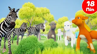 เพลง ม้า ช้าง กวาง เสือ และยีราฟ รวมเพลงเด็ก 18 นาที By KidsMeSong