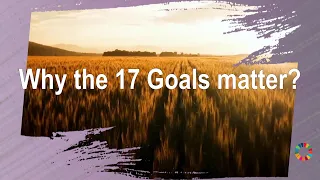 Why the 17 Global Goals Matter