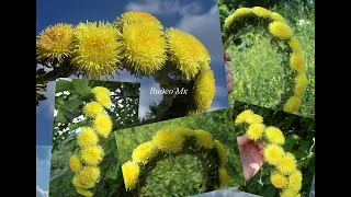 Венок с одуванчиками из фоамирана Wreath with dandelions from tameran