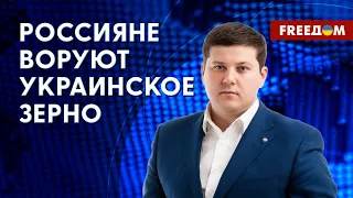 РФ украла зерна из Украины на более чем 1 млрд долл., – эксперт