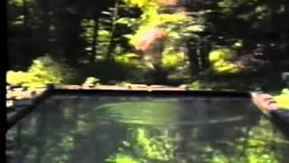 Bill Viola - Reflecting Pool