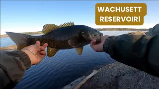 FINESSE fishing WACHUSETT RESERVOIR for SMALLMOUTH